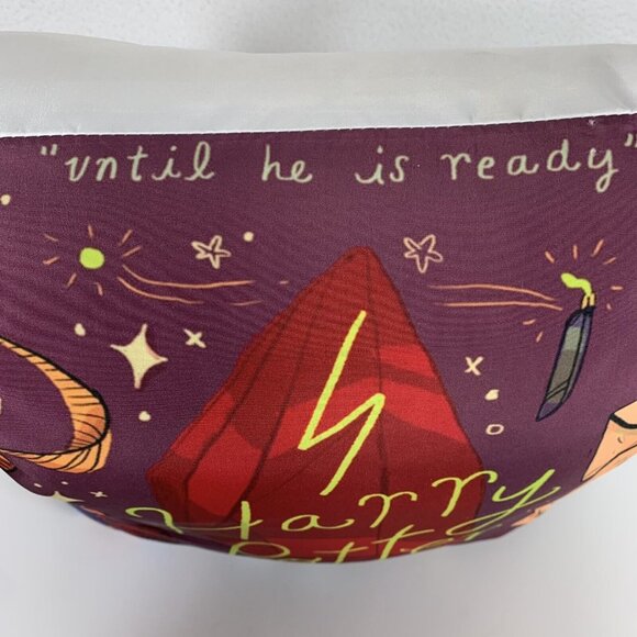 Harry Potter Decorative Throw Pillow Howlers Sorcerers Stone Sorting Hat Frog Ra - Picture 9 of 12